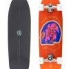 Arbor X Carver - Daily Driver CX - Complete Surf Skate -Skate Pro Shop arbor carver daily driver cx complete 1