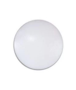 Prototype Racing - Grip Tape Implant - Roundies